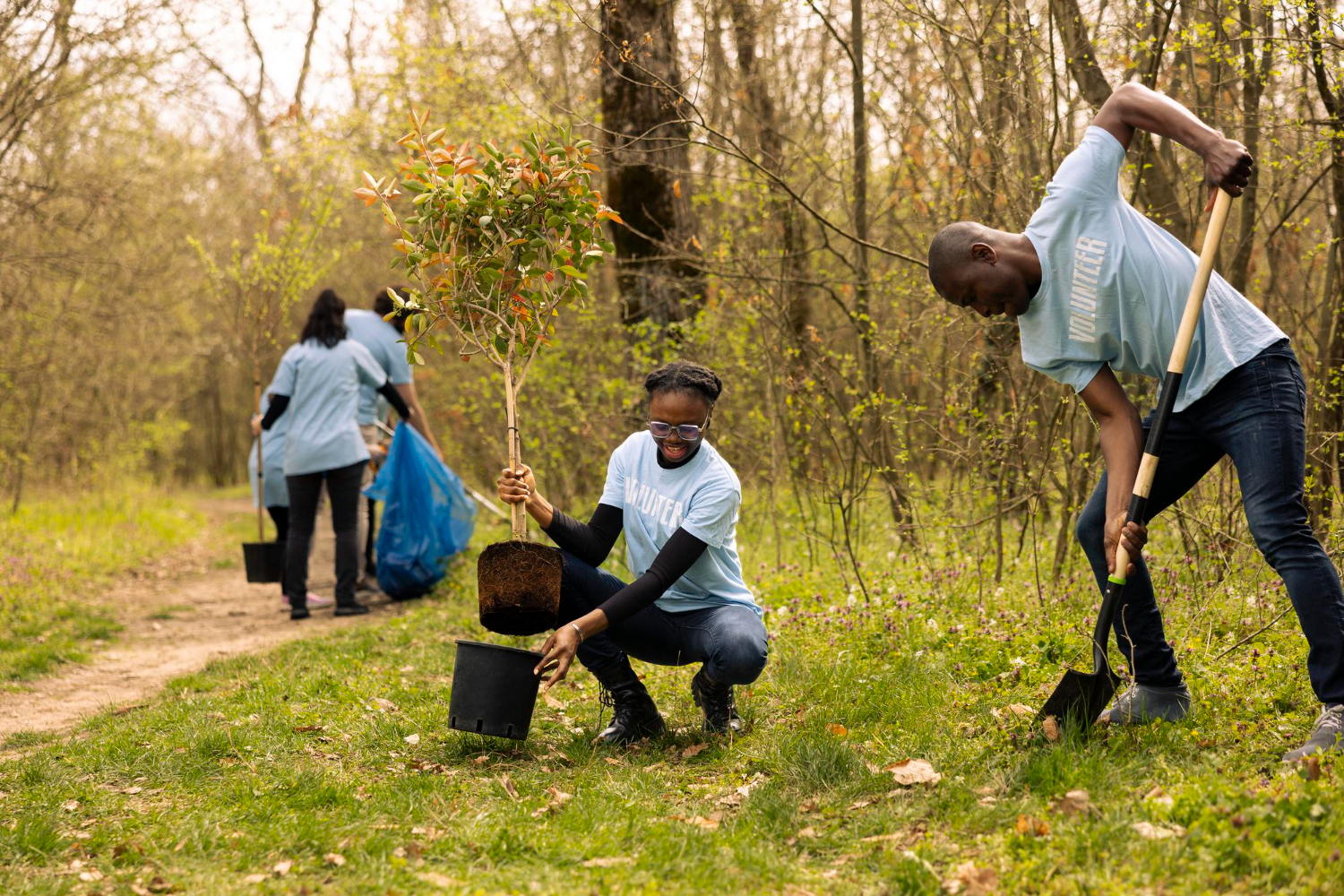 Volunteers planting trees